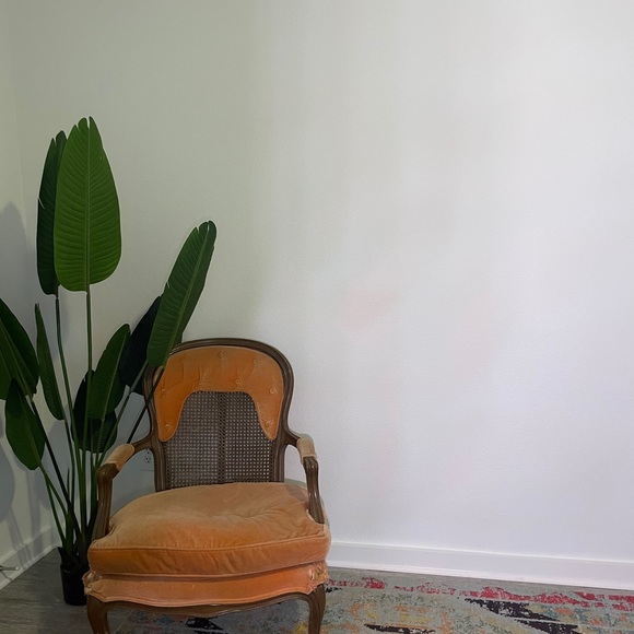 Meet your Posher, Elle - Picture 1 of 1